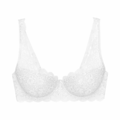 AMOURETTE Wired padded bra