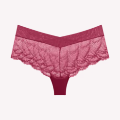 LOVE IN LACE Short knickers