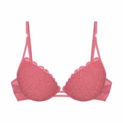 THAT NIGHT IN VEGAS Push-up bra