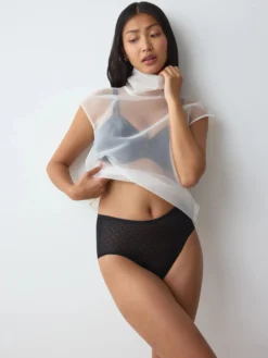 TRIUMPH SIGNATURE SHEER Maxi knickers